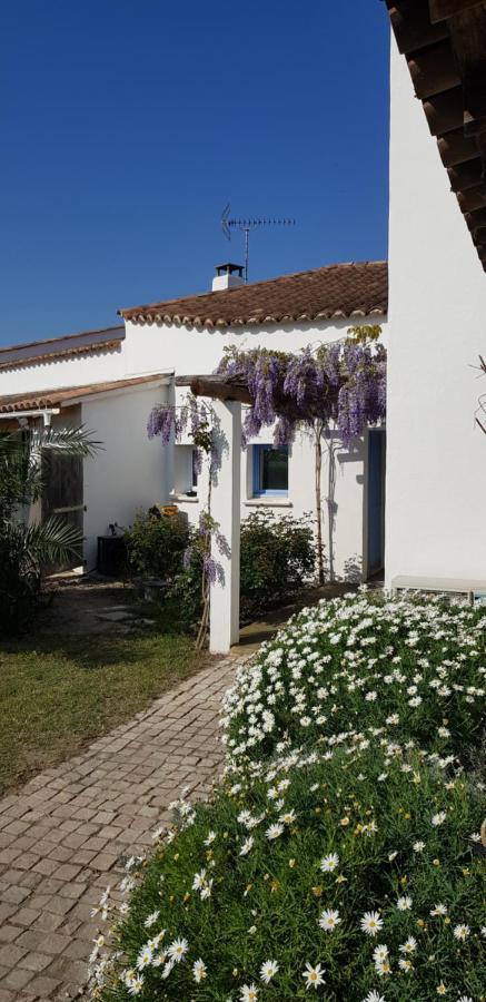 Le Mas Des Sagnes Saintes-Maries-de-la-Mer Kültér fotó