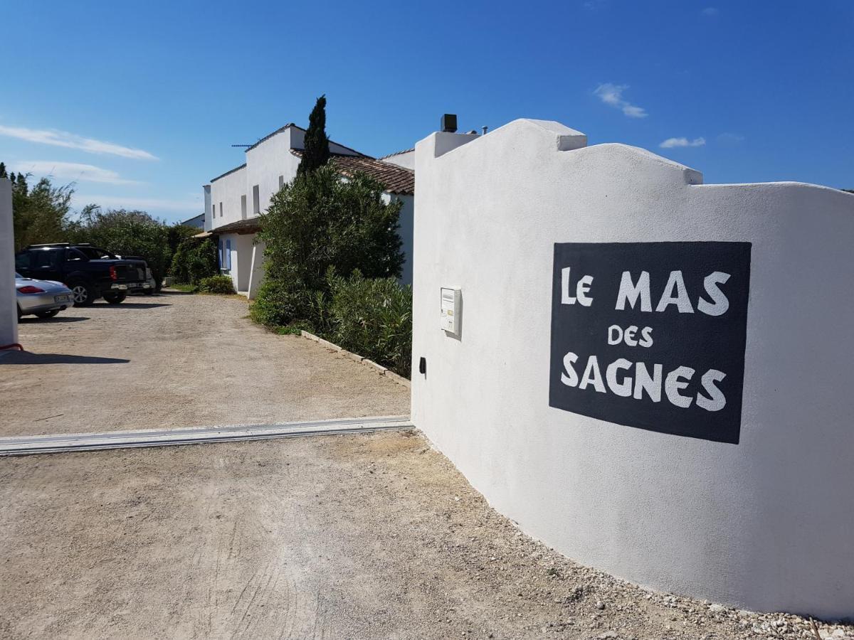 Le Mas Des Sagnes Saintes-Maries-de-la-Mer Kültér fotó