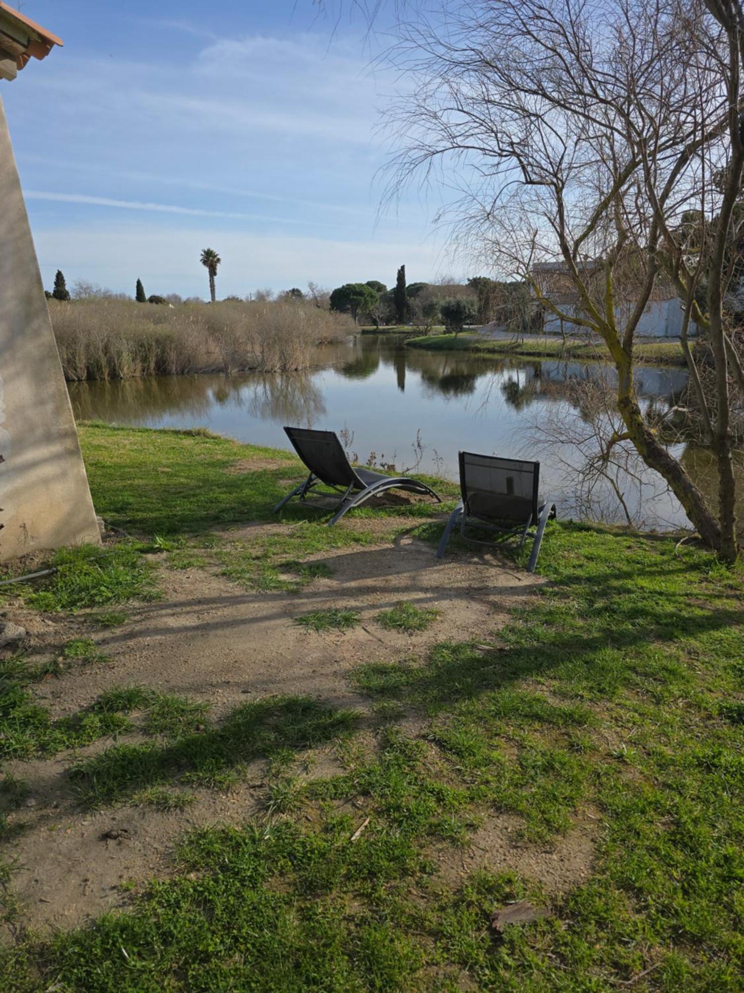 Le Mas Des Sagnes Saintes-Maries-de-la-Mer Kültér fotó